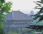 東大寺